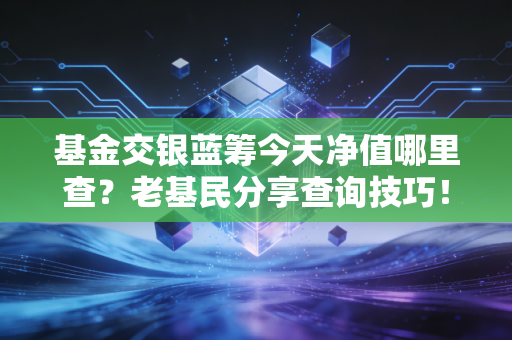 基金交银蓝筹今天净值哪里查?老基民分享查询技巧!