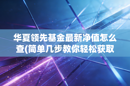 华夏领先基金最新净值怎么查(简单几步教你轻松获取数据)