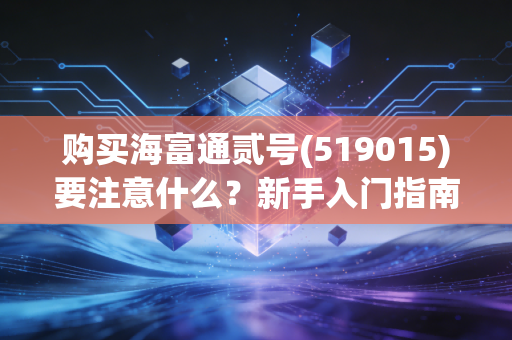 购买海富通贰号(519015)要注意什么?新手入门指南