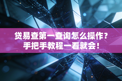 贷易查第一查询怎么操作？手把手教程一看就会！