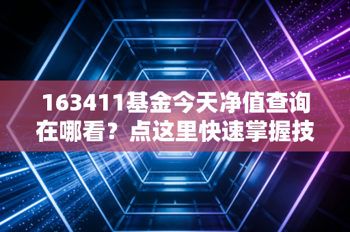163411基金今天净值查询在哪看？点这里快速掌握技巧！