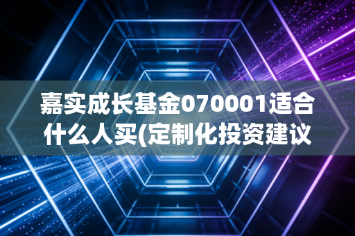 嘉实成长基金070001适合什么人买(定制化投资建议)