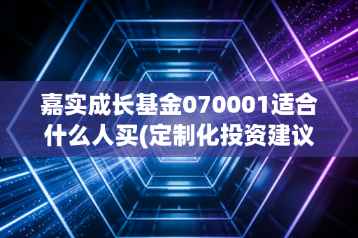 嘉实成长基金070001适合什么人买(定制化投资建议)