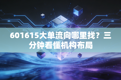 601615大单流向哪里找？三分钟看懂机构布局