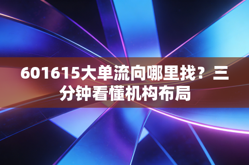 601615大单流向哪里找？三分钟看懂机构布局