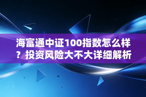 海富通中证100指数怎么样？投资风险大不大详细解析！