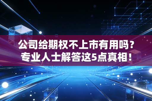 公司给期权不上市有用吗？专业人士解答这5点真相！