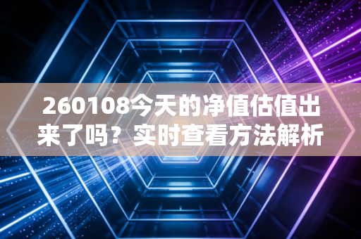 260108今天的净值估值出来了吗？实时查看方法解析