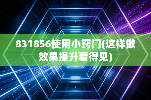 831856使用小窍门(这样做效果提升看得见)