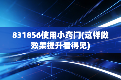 831856使用小窍门(这样做效果提升看得见)