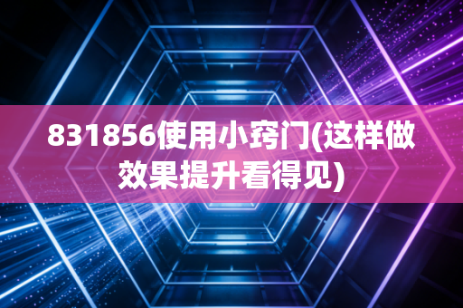 831856使用小窍门(这样做效果提升看得见)