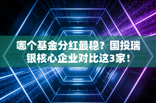 哪个基金分红最稳？国投瑞银核心企业对比这3家！