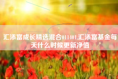 汇添富成长精选混合011401,汇添富基金每天什么时候更新净值