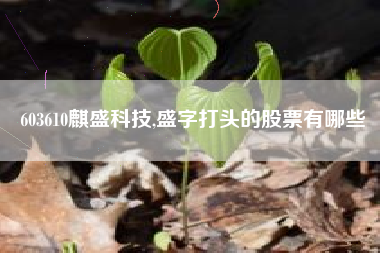 603610麒盛科技,盛字打头的股票有哪些