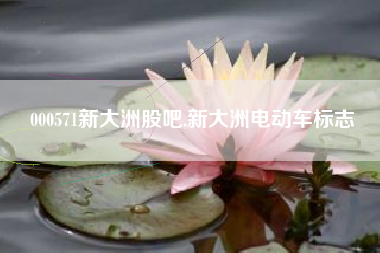 000571新大洲股吧,新大洲电动车标志