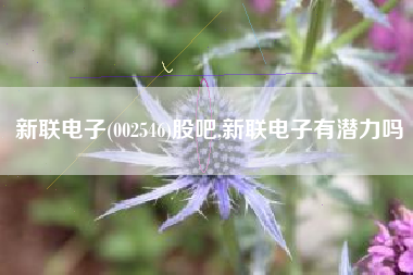 新联电子(002546)股吧,新联电子有潜力吗