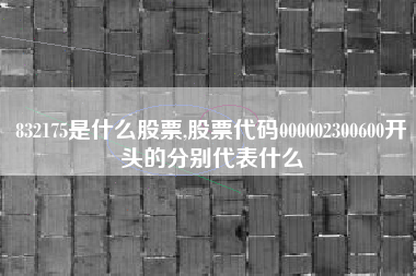 832175是什么股票,股票代码000002300600开头的分别代表什么