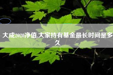 大成2020净值,大家持有基金最长时间是多久
