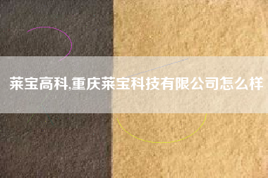 莱宝高科,重庆莱宝科技有限公司怎么样