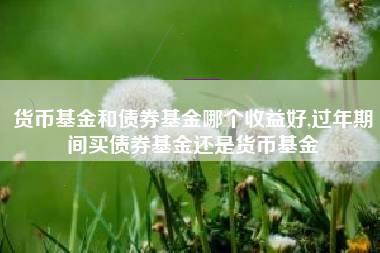 货币基金和债券基金哪个收益好,过年期间买债券基金还是货币基金