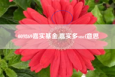 009869嘉实基金,嘉实多sncf意思