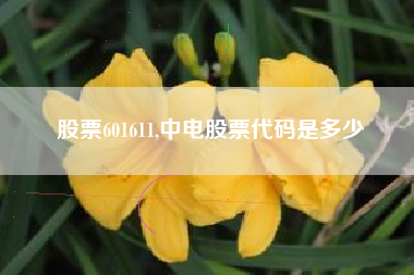 股票601611,中电股票代码是多少