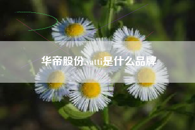 华帝股份,vatti是什么品牌