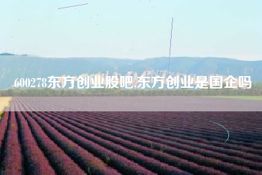 600278东方创业股吧,东方创业是国企吗