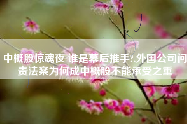 中概股惊魂夜 谁是幕后推手?,外国公司问责法案为何成中概股不能承受之重