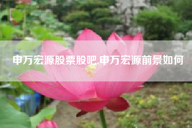 申万宏源股票股吧,申万宏源前景如何