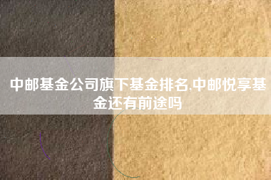 中邮基金公司旗下基金排名,中邮悦享基金还有前途吗
