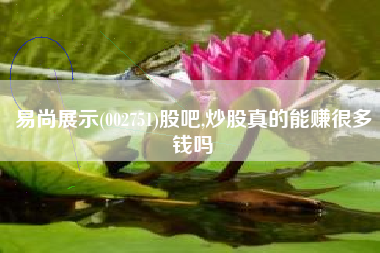 易尚展示(002751)股吧,炒股真的能赚很多钱吗