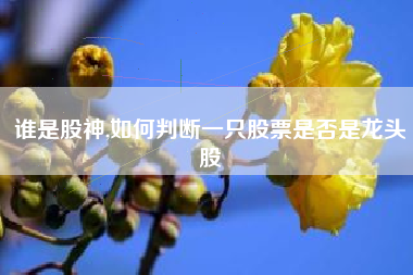 谁是股神,如何判断一只股票是否是龙头股