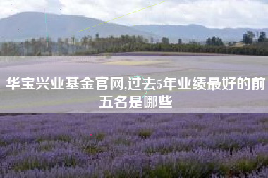华宝兴业基金官网,过去5年业绩最好的前五名是哪些