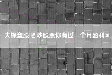 大橡塑股吧,炒股票你有过一个月盈利30