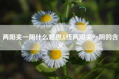 两阳夹一阴什么意思,k线两阳夹一阴的含义