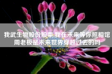我武生物股份股票,我在未来等你照相馆周老板是未来世界穿越过去的吗