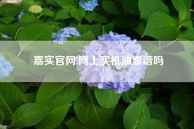 嘉实官网,网上买机油靠谱吗