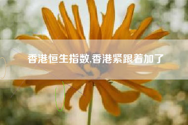 香港恒生指数,香港紧跟着加了