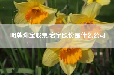 明牌珠宝股票,宏宇股份是什么公司