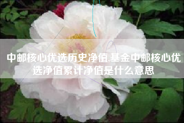 中邮核心优选历史净值,基金中邮核心优选净值累计净值是什么意思