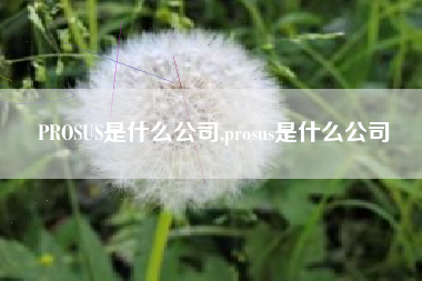 PROSUS是什么公司,prosus是什么公司
