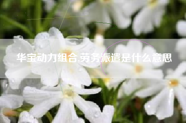 华宝动力组合,劳务派遣是什么意思
