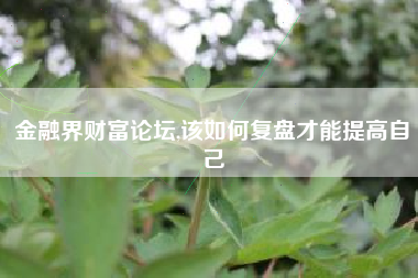 金融界财富论坛,该如何复盘才能提高自己