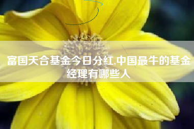 富国天合基金今日分红,中国最牛的基金经理有哪些人