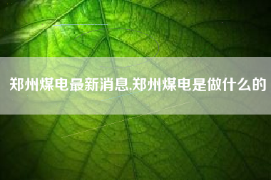 郑州煤电最新消息,郑州煤电是做什么的