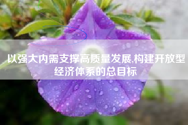 以强大内需支撑高质量发展,构建开放型经济体系的总目标