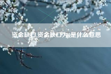 资金缺口,资金缺口为0是什么意思