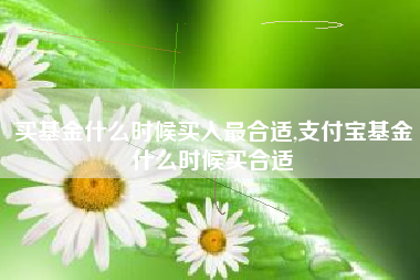 买基金什么时候买入最合适,支付宝基金什么时候买合适