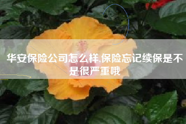 华安保险公司怎么样,保险忘记续保是不是很严重哦